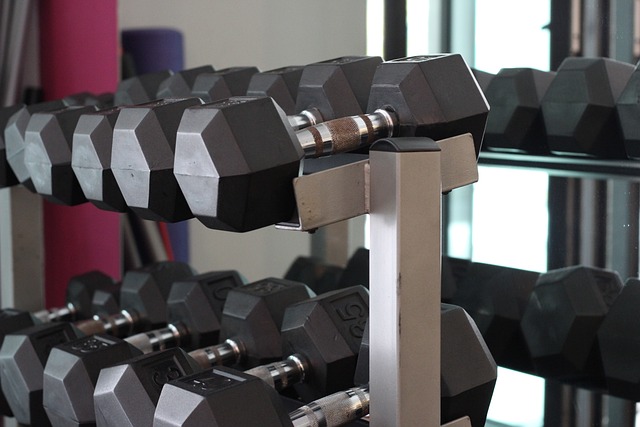 dumbbells-2646970_640